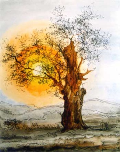 Baum in Abendsonne (Aquarell mit Federzeichnung)
