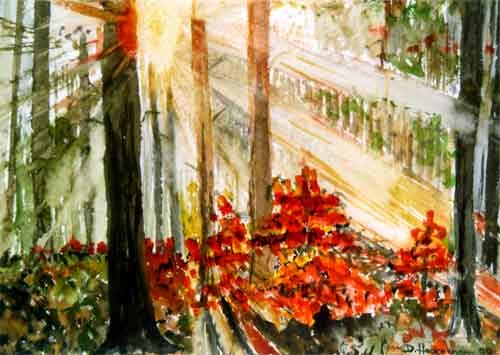 Sonne im herbstlichen Wald
 (Aquarell)
