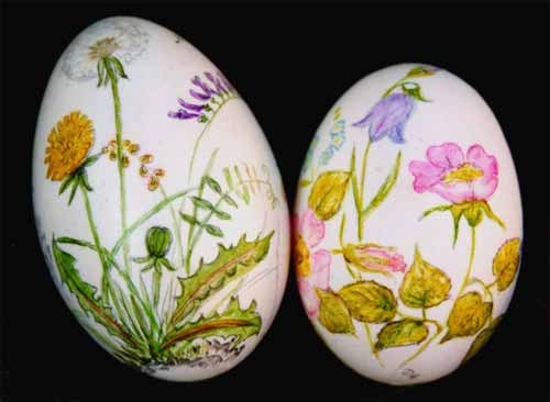Frühlingsblumen auf Gänse- und Entenei
