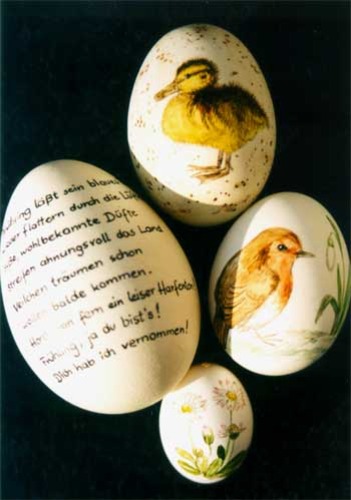 Gedicht, Entenküken, Rotkehlchen und Gänseblümchen auf unterschiedlichen Eiern 
